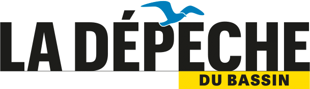 logo-La Dépêche du Bassin